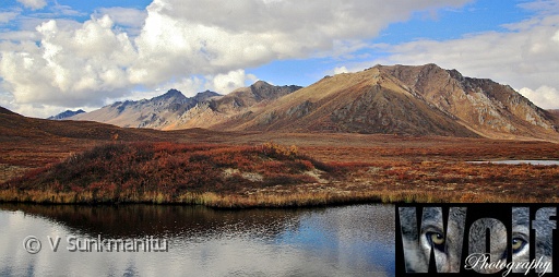 Yukon wilderness 004 Copyright Villayat Sunkmanitu.jpg